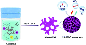 Graphical abstract: Ir-Doped Ni-based metal–organic framework ultrathin nanosheets on Ni foam for enhanced urea electro-oxidation