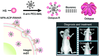 Graphical abstract: An octopus-mimic PEGylated peptide as a specific integrin αvβ3 inhibitor for preventing tumor progression