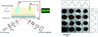Graphical abstract: Spatially resolved electrochemical reversibility of a conducting polymer thin film imaged by oblique-incidence reflectivity difference
