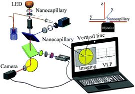 Graphical abstract: Visual and real-time imaging focusing for highly sensitive laser-induced fluorescence detection at yoctomole levels in nanocapillaries