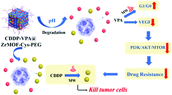 Graphical abstract: l-Cysteine decorated nanoscale metal–organic frameworks delivering valproic acid/cisplatin for drug-resistant lung cancer therapy
