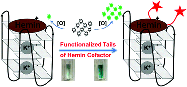 Graphical abstract: A superior G-quadruplex DNAzyme through functionalized modification of the hemin cofactor