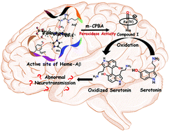 Graphical abstract: Peroxidase activity of heme bound amyloid β peptides associated with Alzheimer's disease