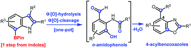 Graphical abstract: One-pot oxidative hydrolysis-oxidative cleavage of 7-borylindoles enables access to o-amidophenols and 4-acylbenzoxazoles