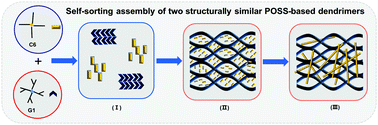 Graphical abstract: Chirality on dendrimers: “roll booster” of the molecule-level self-sorting assembly in two-component supramolecular gel system