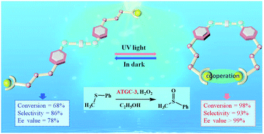 Graphical abstract: Light-controlled cooperative catalysis of asymmetric sulfoxidation based on azobenzene-bridged chiral salen TiIV catalysts