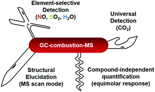 Graphical abstract: Quantitative multiplexed elemental (C, H, N and S) detection in complex mixtures using gas chromatography