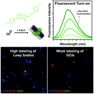 Graphical abstract: Synthesis and characterization of high affinity fluorogenic α-synuclein probes