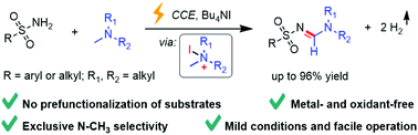 Graphical abstract: Electrochemically generated N-iodoaminium species as key intermediates for selective methyl sulphonylimination of tertiary amines