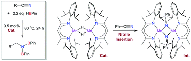 Graphical abstract: Scope and mechanism of nitrile dihydroboration mediated by a β-diketiminate manganese hydride catalyst