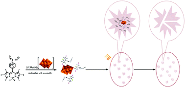 Graphical abstract: Polyoxovanadate-iodobodipy supramolecular assemblies: new agents for high efficiency cancer photochemotherapy