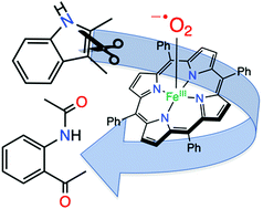Graphical abstract: Oxidation of an indole substrate by porphyrin iron(iii) superoxide: relevance to indoleamine and tryptophan 2,3-dioxygenases