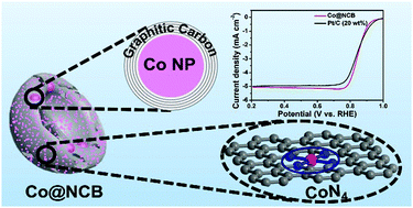 Graphical abstract: Cobalt decorated nitrogen-doped carbon bowls as efficient electrocatalysts for the oxygen reduction reaction