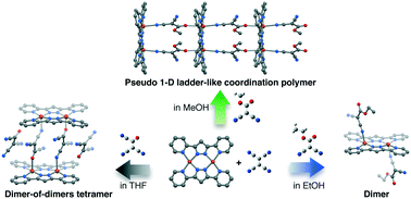 Graphical abstract: Versatile coordination architectures of products generated by the in situ reaction of a doubly bis(2-pyridyl)pyrazolate bridged dinuclear copper(ii) complex with tetracyanoethylene
