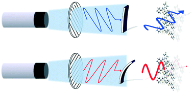 Graphical abstract: Photomechanical bending behavior of photochromic diarylethene crystals induced under polarized light