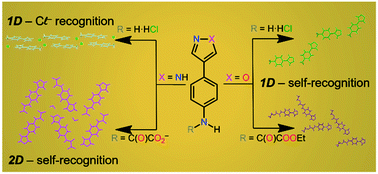 Graphical abstract: Monitoring the hydrogen bond net configuration and the dimensionality of aniline and phenyloxamate by adding 1H-pyrazole and isoxazole as substituents for molecular self-recognition