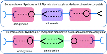 Graphical abstract: Does stoichiometry matter? Cocrystals of aliphatic dicarboxylic acids with isonicotinamide: odd–even alternation in melting points