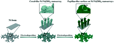 Graphical abstract: Papillae-like morphology of Ni/Ni(OH)2 hybrid crystals by stepwise electrodeposition for synergistically improved HER