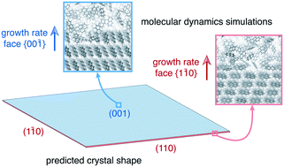 Graphical abstract: Naphthalene crystal shape prediction from molecular dynamics simulations