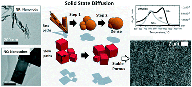 Graphical abstract: Tuning diffusion paths in shaped ceria nanocrystals