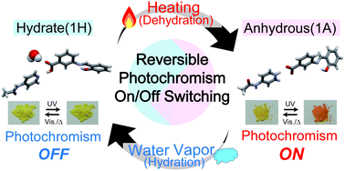 Graphical abstract: Reversible on/off switching of photochromic properties in N-salicylideneaniline co-crystals by heating and humidification