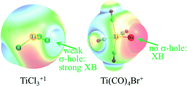 Graphical abstract: On the capability of metal–halogen groups to participate in halogen bonds