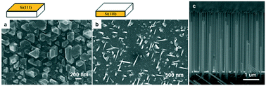 Graphical abstract: Dependence of the structure and orientation of VSS grown Si nanowires on an epitaxy process