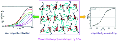 Graphical abstract: Two-dimensional heterometallic CuIILnIII (Ln = Tb and Dy) coordination polymers bridged by dicyanamides showing slow magnetic relaxation behavior