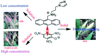 Graphical abstract: Photo-physical properties of salts of a di-topic imidazole-tethered anthracene derivative in solid and solution