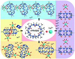 Graphical abstract: The lanthanide contraction effect and organic additives impact the coordination structures of lanthanide ions with symmetrical octamethyl-substituted cucurbit[6]uril ligands