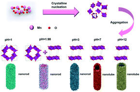 Graphical abstract: Phase and morphology controlled polymorphic MnO2 nanostructures for electrochemical energy storage