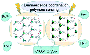 Graphical abstract: Two 2D multiresponsive luminescence coordination polymers for selective sensing of Fe3+, CrVI anions and TNP in aqueous medium
