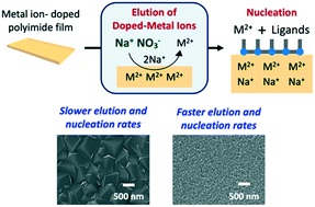 Graphical abstract: Control of the nucleation and growth processes of metal–organic frameworks using a metal ion-doped polymer substrate for the construction of continuous films