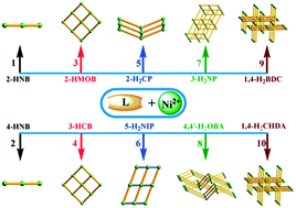 Graphical abstract: Versatile carboxylate-directed structures of ten 1D → 3D Ni(ii) coordination polymers: fluorescence behaviors and electrochemical activities
