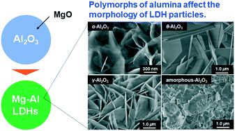 Graphical abstract: Hierarchical spheres of Mg–Al LDH for the removal of phosphate ions: effect of alumina polymorph as precursor