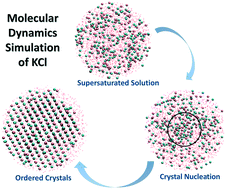 Graphical abstract: Molecular dynamics simulation of homogeneous nucleation of supersaturated potassium chloride (KCl) in aqueous solutions