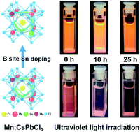 Graphical abstract: Improved ultraviolet radiation stability of Mn2+-doped CsPbCl3 nanocrystals via B-site Sn doping