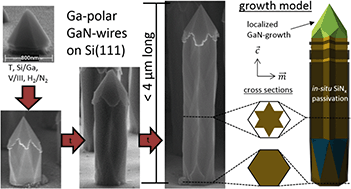 Graphical abstract: Mask-less MOVPE of arrayed n-GaN nanowires on site- and polarity-controlled AlN/Si templates
