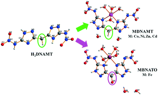 Graphical abstract: Energetic transition metal salts of 5,5′-dinitramino-3,3′-methylene-1H-1,2,4-bistriazole: syntheses, structures and properties