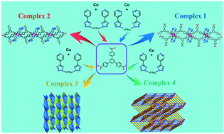 Graphical abstract: A series of flexible bis(pyridyl)bis(tetrazole)-modulated coordination polymers: construction, electrochemical properties, dye adsorption and magnetic properties