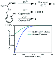 Graphical abstract: The Co2+/Ni2+ ion-mediated formation of a topochemically converted copper coordination polymer: structure-dependent electrocatalytic activity