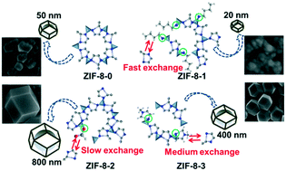 Graphical abstract: Controlling the size of a Zn-MOF through ligand exchange and pore-tailored ZnO assemblies for size-selective gas sensing