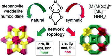 Graphical abstract: Natural and synthetic metal oxalates – a topology approach