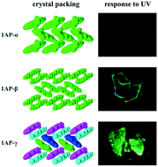 Graphical abstract: Polymorphism and resulting luminescence properties of 1-acetylpyrene