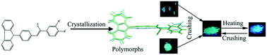 Graphical abstract: Aggregation-enhanced emissive mechanofluorochromic carbazole-halogen positional isomers: tunable fluorescence via conformational polymorphism and crystallization-induced fluorescence switching