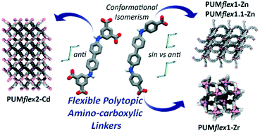 Graphical abstract: Structural, thermal and topological characterization of coordination networks containing flexible aminocarboxylate ligands with a central biphenylene scaffold