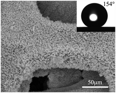 Graphical abstract: Synthesis of superhydrophobic flower-like ZnO on nickel foam