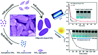 Graphical abstract: Facile construction of hierarchical ellipsoid-shaped TiO2 porous nanostructures with enhanced photocatalytic activity