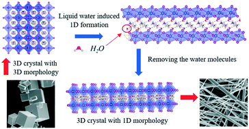 Graphical abstract: Liquid water-induced growth of the 1D morphology of CH3NH3PbI3 hybrid perovskites