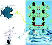 Graphical abstract: A bifunctional 3D Tb-based metal–organic framework for sensing and removal of antibiotics in aqueous medium